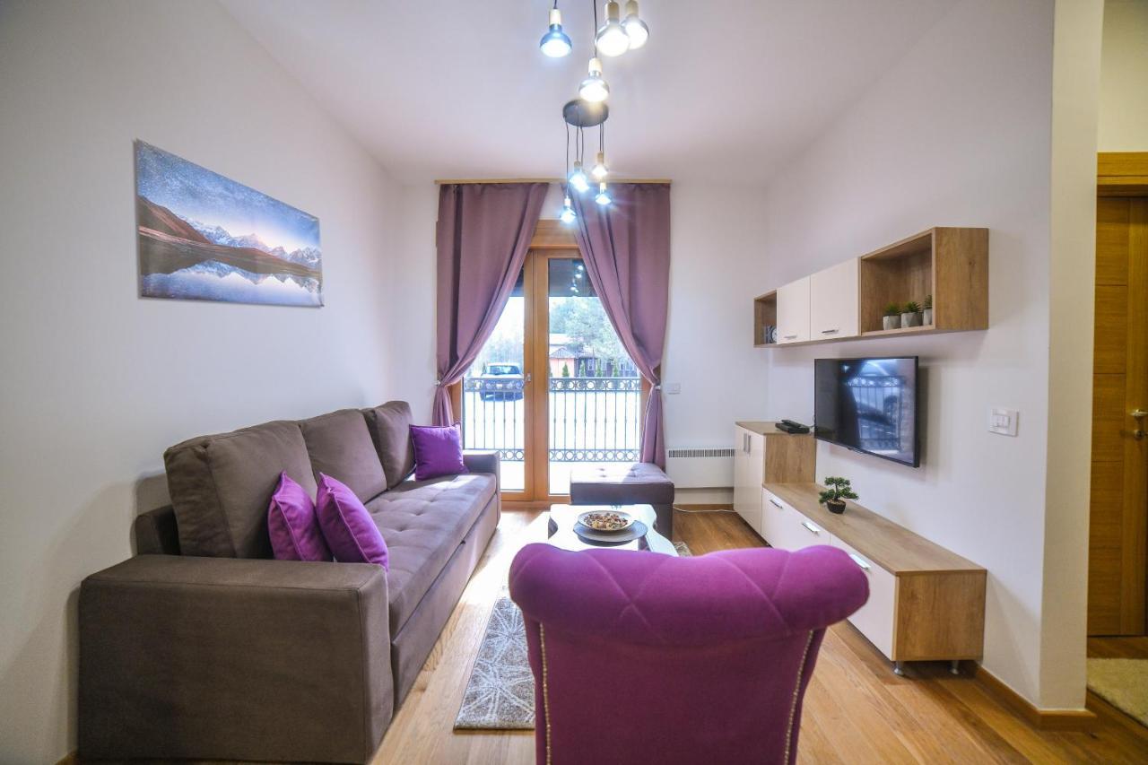 Vila Elsa Apartmani Kosta Todorovic Zlatibor Extérieur photo